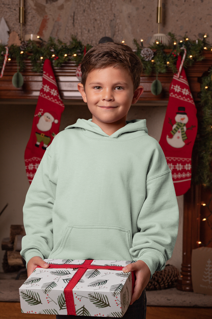 Mint Kids premium Snowsoft Pullover Hoodie